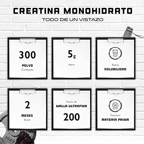 Creatina en polvo - 300 g - Creatina monohidrato pura - Solubilidad óptima - Vegano - Sin aditivos - Polvo puro - German Elite Nutrition