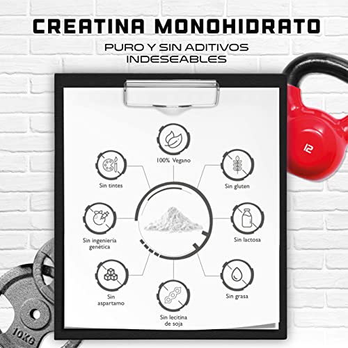 Creatina en polvo - 300 g - Creatina monohidrato pura - Solubilidad óptima - Vegano - Sin aditivos - Polvo puro - German Elite Nutrition