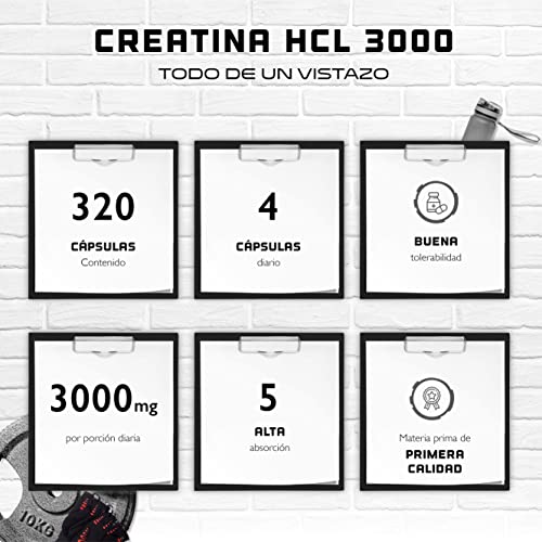 Creatina HCL - 320 cápsulas - Altamente dosificado con 3000 mg - Clorhidrato de creatina puro de alta absorción - Alta biodisponibilidad