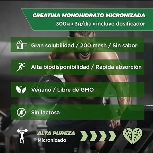 Creatina monohidratada en polvo | 300GR | 166 dosis | 100% creatina monohidrato micronizada | Sin sabor | No-GMO | Vegano | Sin lactosa | Incluye dosificador | Alta solubilidad