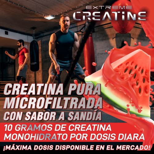 Creatina Monohidrato 100% microfiltrada | 5000mg de Creatina por dosis diaria | Mejora la resistencia física y el crecimiento muscular | Fácil disolución y máxima asimilación | 300 g. sabor sandía