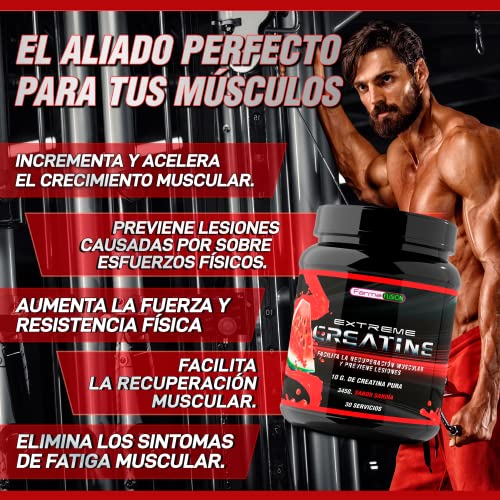 Creatina Monohidrato 100% microfiltrada | 5000mg de Creatina por dosis diaria | Mejora la resistencia física y el crecimiento muscular | Fácil disolución y máxima asimilación | 300 g. sabor sandía