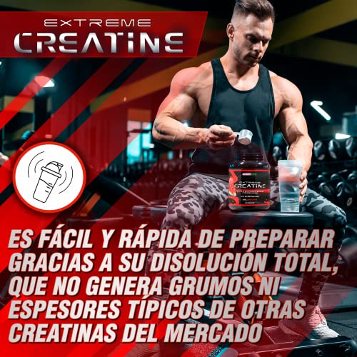 Creatina Monohidrato 100% microfiltrada | 5000mg de Creatina por dosis diaria | Mejora la resistencia física y el crecimiento muscular | Fácil disolución y máxima asimilación | 300 g. sabor sandía