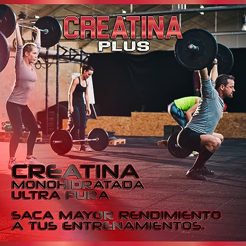 Creatina Monohidrato en polvo | 100% Creatina Pura Monohidrato sin añadidos| Favorece el crecimiento muscular y aumenta el rendimiento físico | Alta solubilidad | 300g Sabor Sandía