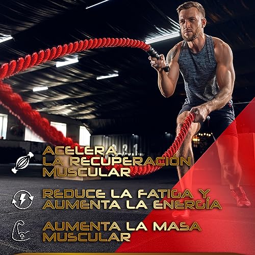 Creatina Monohidrato en polvo | 100% Creatina Pura Monohidrato sin añadidos| Favorece el crecimiento muscular y aumenta el rendimiento físico | Alta solubilidad | 300g Sabor Sandía