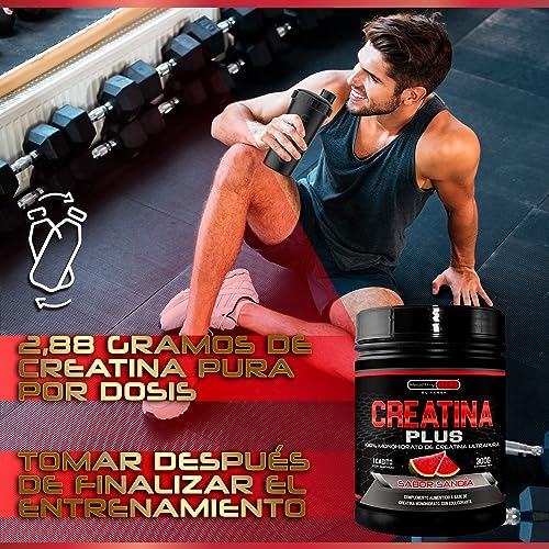 Creatina Monohidrato en polvo | 100% Creatina Pura Monohidrato sin añadidos| Favorece el crecimiento muscular y aumenta el rendimiento físico | Alta solubilidad | 300g Sabor Sandía