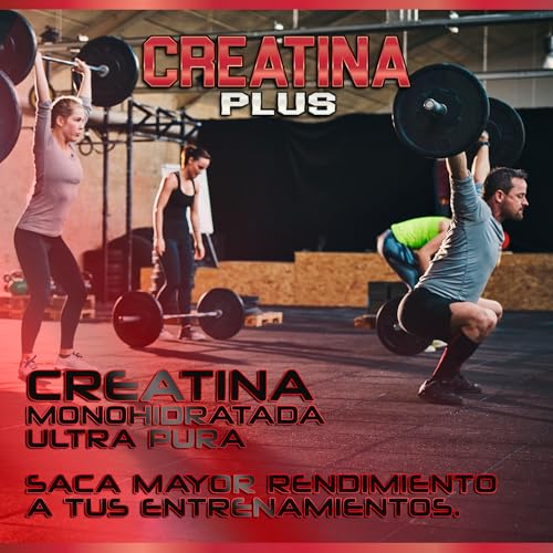 Creatina Monohidrato en polvo | 100% Creatina Pura Monohidrato sin añadidos| Favorece el crecimiento muscular y aumenta el rendimiento físico | Alta solubilidad | 300g, Sabor Refresco Cola