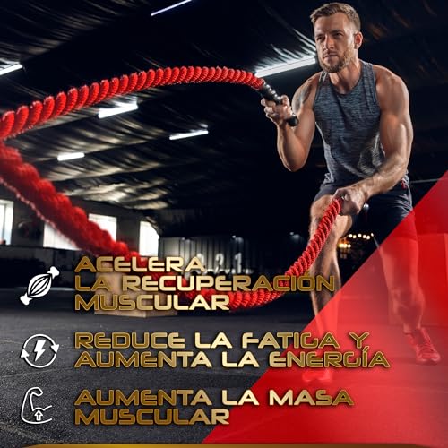 Creatina Monohidrato en polvo | 100% Creatina Pura Monohidrato sin añadidos| Favorece el crecimiento muscular y aumenta el rendimiento físico | Alta solubilidad | 300g, Sabor Refresco Cola