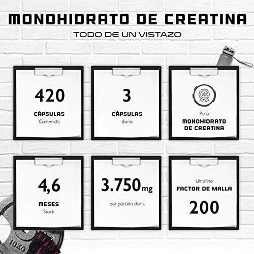 Creatine Ultra Caps - 420 cápsulas con 1250 mg cada una de monohidrato de creatina puro - Premium: Ultrafino + Factor de malla de 200 - Alta dosis