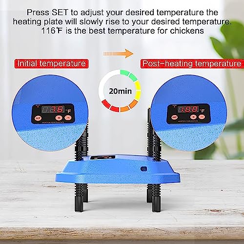 Criadora,Criadora de Pollitos,Calentador de pollos,25x 25con ángulos de inclinación de Altura Ajustable Calentadores - Bajo Consumo para la Cría de Pollitos, Patitos, Codornices y Pájaros