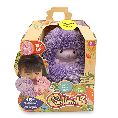 Curlimals - Erizo Higgle, Mascota interactiva de Color Morado, con Movimiento y + de 45 Sonidos, se enrolla y se esconde en tu Mano, para niños y niñas Desde 3 años, Famosa (CUR00200)