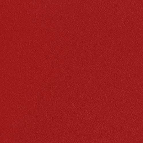 CV Suelo de vinilo monocolor Expotop – Suelo de PVC resistente a la abrasión – muchos colores (100 x 200 cm, rojo)