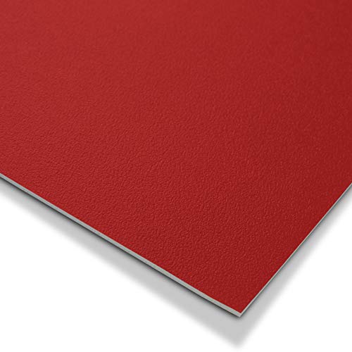 CV Suelo de vinilo monocolor Expotop – Suelo de PVC resistente a la abrasión – muchos colores (100 x 200 cm, rojo)