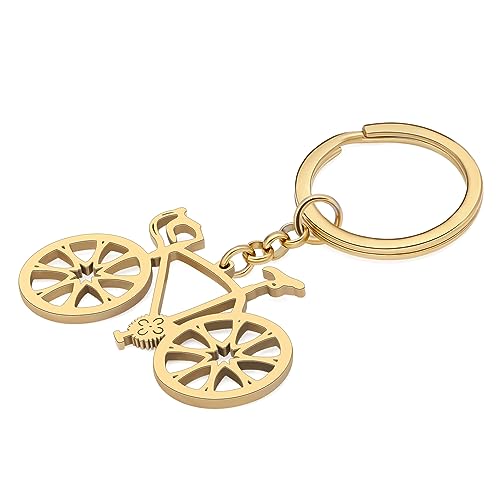 DALANE Llavero de Acero Inoxidable de Bici Linda Joyería de Bicicleta para Mujeres de las Muchachas Encantos Regalos Llavero de la Cartera Anillos (Chapado Oro 18K A)