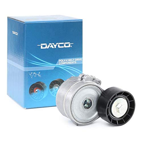 Dayco APV1030 Tensor de Correa, Correa Poli V