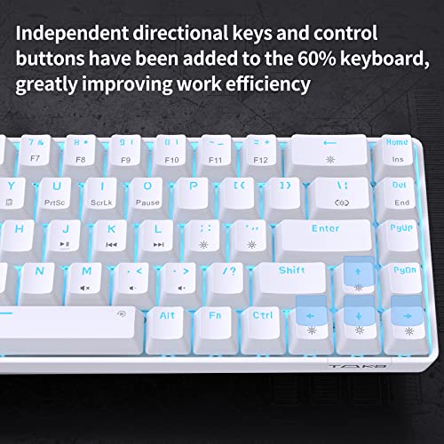 Dierya T68SE Teclado Mecánico Gaming Mini 60% Blue Switch Mechanical Keyboard con Retroiluminación LED,Cable USB-Type C,Teclado Ultra-Compacto 68 Teclas Anti-Fantasma US Layout para PC/Windows