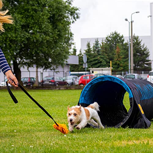 Dingo 15577 - Mopa con Cinta Larga, 130 cm, Juego de motivación para Perros y Perros