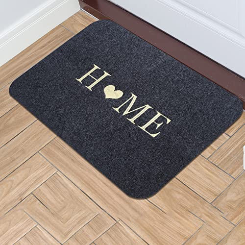 DIUJHUUY 2 Piezas Alfombrillas para Puertas de Interior y Exterior, Alfombra Interior de Bienvenida, Felpudo Entrada Casa, Alfombra Antideslizante Lavable - 40x60 cm