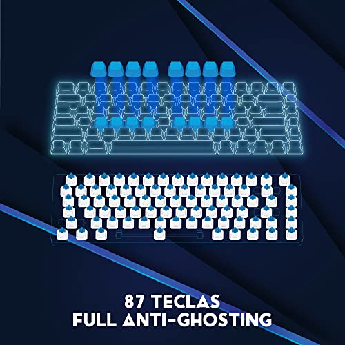 DR1TECH [Amazon Exclusive] Raven Teclado Mecánico TKL Gaming RGB para PC [20Mln De Clic] - 87 Teclas Anti Ghosting - Teclado USB Ergonómico con Cable