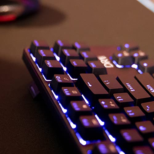 DR1TECH [Amazon Exclusive] Raven Teclado Mecánico TKL Gaming RGB para PC [20Mln De Clic] - 87 Teclas Anti Ghosting - Teclado USB Ergonómico con Cable