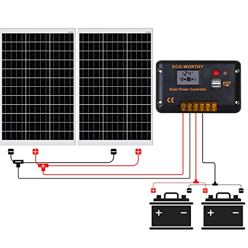 ECO-WORTHY Kit Panel Solar 12V/24V 240W Sistema Placa Solar 1KWH/DAY: 2 Paneles Solares Monocristalinos 120W + 1 Controlador PWM 30A + Cable de Extensión Solar para Caravana, RV, Barco