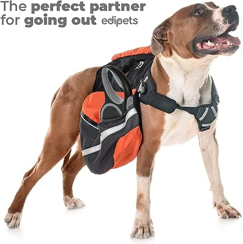 Edipets, Correa Perro Extensible, Retráctil, 3, 5 y 8 Metros, Cinta Flexible para Adiestramiento y Paseo, con Seguro y con Freno, Diseño y Agarre Cómodo (5m hasta 20kg, Gris)