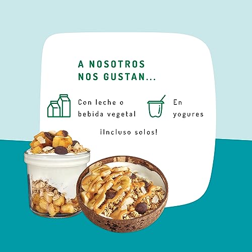 El Granero Integral - Granola con Chocolate y Coco sin Gluten BIO - 350 g - Fuente de Fibra y Nutrientes Esenciales - Mejora la Salud Intestinal - Ideal para el Desayuno - Apto para Veganos