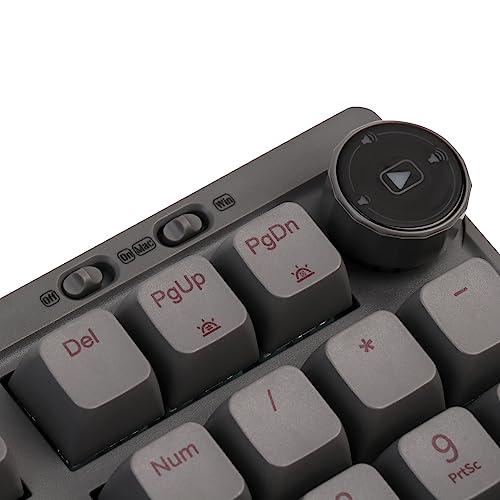 EPOMAKER RT100 97 Teclas Junta BT5.0/2.4G/USB-C Teclado Gaming Mecánico con Pantalla Personalizable, Perilla, Hot Swappable Socket, 5000mAh Batería para Win/Mac (Sea Salt Silent Switch, Gris)