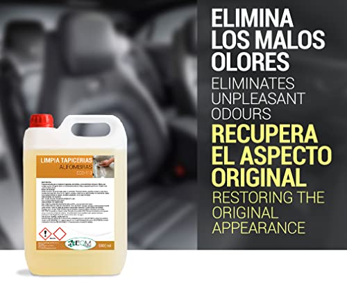 EQM SOLUCIONES QUIMICAS | ECO-113 | 5L | Limpia Tapicerias Coche Profesional | Elimina Manchas del Uso Cotidiano y Malos olores | Ideal para alfombras, tapicerías, moquetas, Cinturones de Seguridad