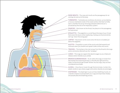 Essential Pranayama: Breathing Techniques for Balance, Healing, and Peace