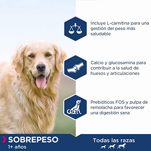 EUKANUBA Daily Care Alimento seco para perros con sobrepeso y esterilizados, bajo en grasa, 12 kg (Paquete de 1)