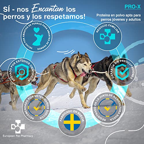 European Pet Pharmacy Pro-X Polvo de Proteínas para Perros con Insectos Secos - Comida Hipoalergénica para Perros Rica en Aminoácidos - Suplemento para Perros 1+ Años - Energía y Masa Muscular, 300g