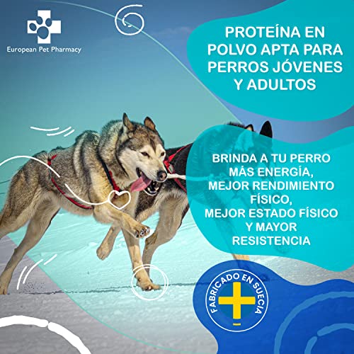 European Pet Pharmacy Pro-X Polvo de Proteínas para Perros con Insectos Secos - Comida Hipoalergénica para Perros Rica en Aminoácidos - Suplemento para Perros 1+ Años - Energía y Masa Muscular, 300g