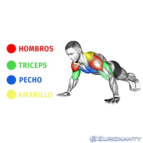 EUROXANTY Tabla de Flexiones | Tabla de Ejercicios para Realizar Flexiones de Pecho, Espalda, Hombros y Tríceps | Tabla de Gimnasia para Entrenar en Casa | Soporte y Agarraderas para Hacer Flexiones