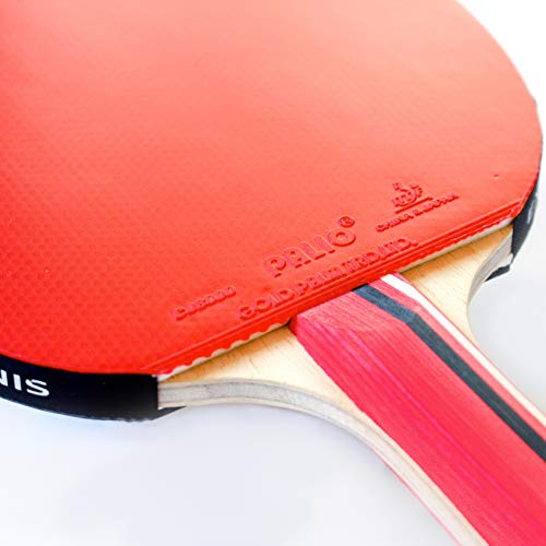 Expert Table Tennis Palio Master 3.0 - Raqueta de Tenis de Mesa y Funda - Aprobado por la ITTF - Acampanado - intermedio Ping Pong, Pala, Bate