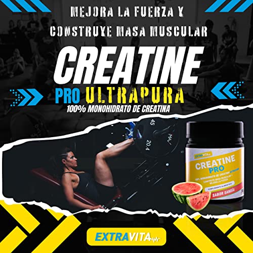 extraVITA-CREATINA PRO Microfiltrada para un máximo crecimiento y resistencia muscular - Suplemento deportivo en polvo para aumentar la fuerza y el rendimiento en tus entrenamientos- sabor sandía 300g