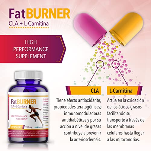 FATBURNER - CLA + L-Carnitina Premium - 60 cápsulas - Alta potencia y quemagrasas - Adelgazar rápido -1 cápsula al día