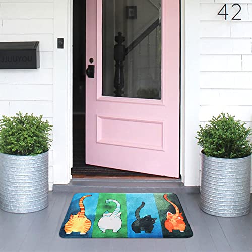 Felpudo interior para gato, 50 x 80 cm, antideslizante, lavable, alfombra de entrada, alfombra de entrada para exterior, absorbente, alfombrilla personalizada, duradera, corta de felpa