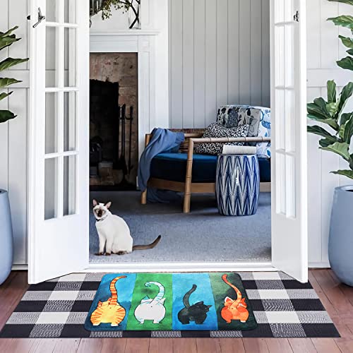 Felpudo interior para gato, 50 x 80 cm, antideslizante, lavable, alfombra de entrada, alfombra de entrada para exterior, absorbente, alfombrilla personalizada, duradera, corta de felpa