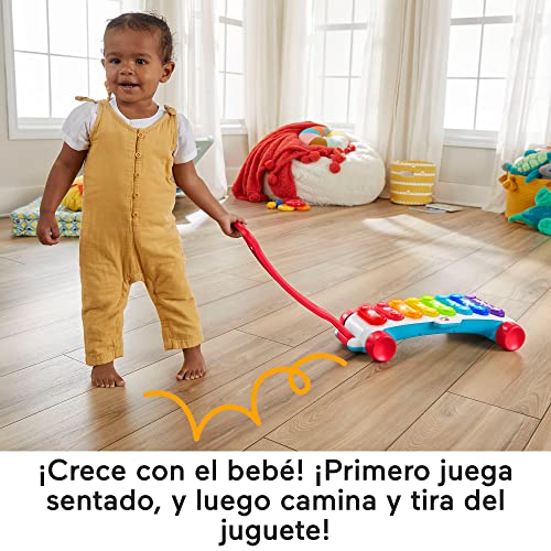 Fisher-Price Xilófono gigante, juguete musical con luces y sonidos para aprendes letras, números y formas, regalo para bebé +9 meses, versión español + portugués + italiano + inglés (HJK38)