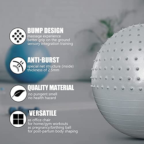 Fitness Ball, Anti-Burst Pilates Ball 55cm/65cm/75cm/85cm Asiento Multiusos Ejercicio Ball Fitball 2 en 1 Masajeador para Fitness Yoga Estiramiento y Pilates (65 cm, Plata)