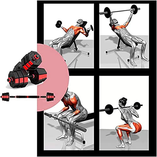 Fitness Tech - Juego de Mancuernas 2 en 1 Octogonal - Set de 2 Unidades - Alta Resistencia - Antivuelco - Entrenamiento Completo - 40 Kg