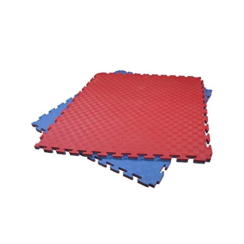 Fitness Tech - Loseta de Tatami - Puzzle Goma Espuma - Esterilla de Goma para HAcer Gimnasia - Perfecto para Artes Marciales (Azul y Rojo, 100x100x2 Cm)