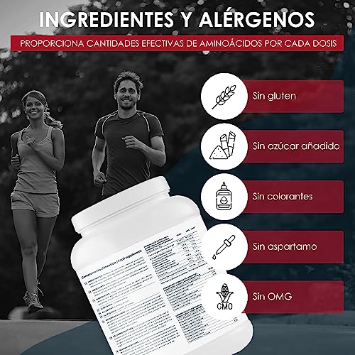 Fortia Proteinas Whey | Proteinas para Masa Muscular - Proteina en Polvo | Materias Primas Europeas - Whey Protein | Recuperación y Desarrollo Muscular | 900gr Chocolate