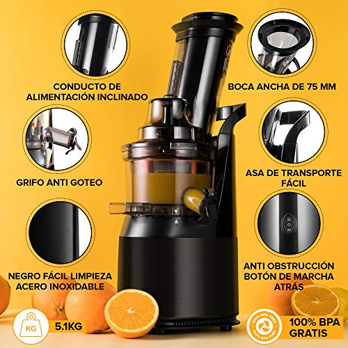 Fridja F1900 - Fruta y Vegetal Cold Press Extractor de Jugo Slow Juicer, Sorbete y Helado de Frutas, Extractor de Masticación Lenta, Sin BPA, 240W, Acero Inoxidable, Negro