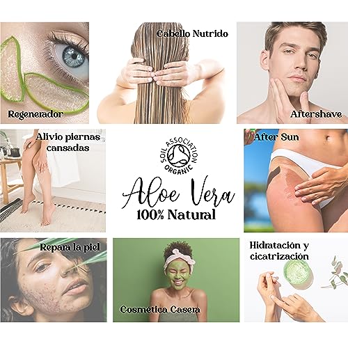 Gel de Aloe Vera 100% Puro Natural, Hidratante Corporal y Facial | After Sun After Shave Acondicionador Cabello Calmante Epilación, Cultivo Ecológico Español 1000 ml