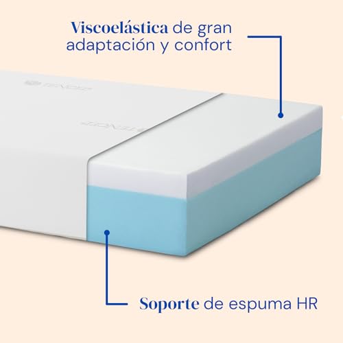 Gerialife® Pack Cama articulada Reforzada 5 Planos con colchón viscoelástico Tencel | Fabricado en España (105x190, Mando por Cable + Barandillas)