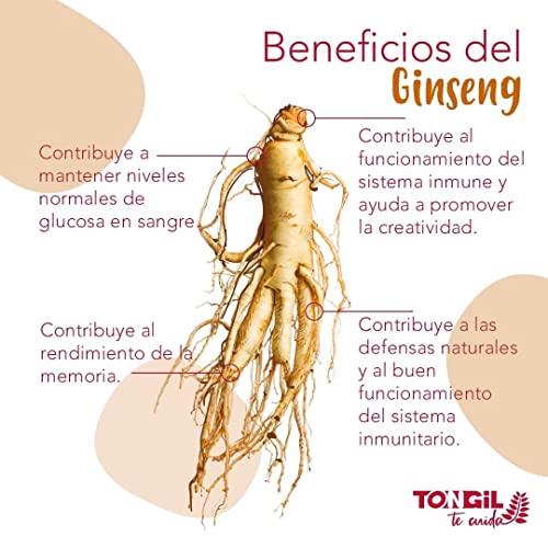 Ginseng Coreano Puro, Calidad Ilhwa, 500 mg, 100 cápsulas | Panax Ginseng 100% Sin aditivos | Energía Física y Mental | Raíces Maduras de Cultivo Propio y Extracción Exclusiva | de TONGIL