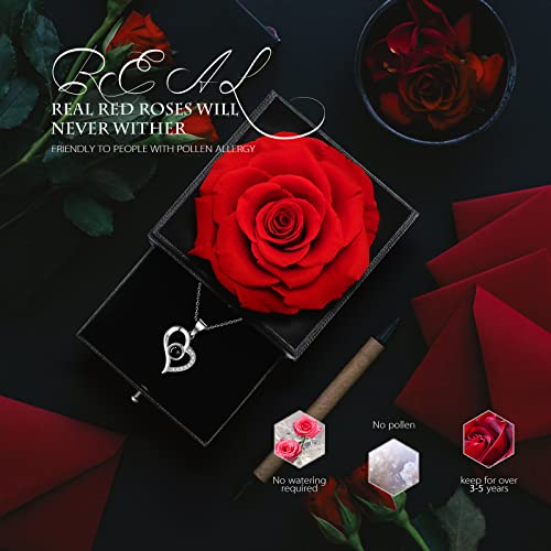 GOICC Rosa Eterna Natural Preservada con Collar Regalos Originales para Mujer Mama Novia Hermana Abuela Caja Regalo (Rojo)