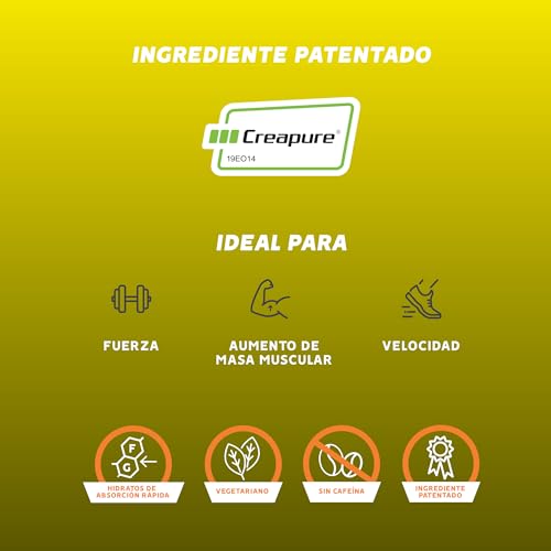 GoldNutrition Creatine Power Mix |1 kg Sabor Mango-Naranja | Creatina Creapure | Aumentar Masa Muscular y Resistencia y Velocidad | Gran Solubilidad